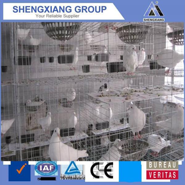 racing pigeon breeding cage by chinese factory #5 image