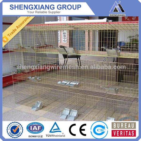 China supplier anping county high quality rabbit cages for farm #1 image