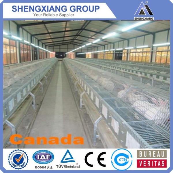 China supplier anping county high quality rabbit cages for farm #2 image