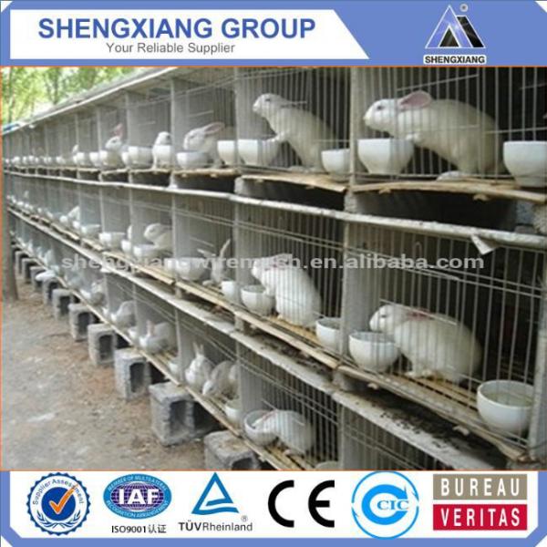 China supplier anping county high quality rabbit cages for farm #3 image