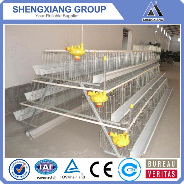 alibaba china supplier chicken cage distributor #5 image