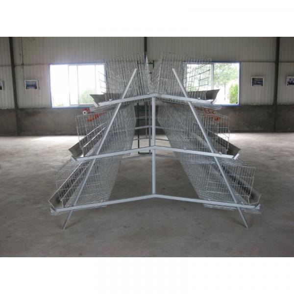 alibaba china supplier chicken cage company for home &amp; garden #3 image