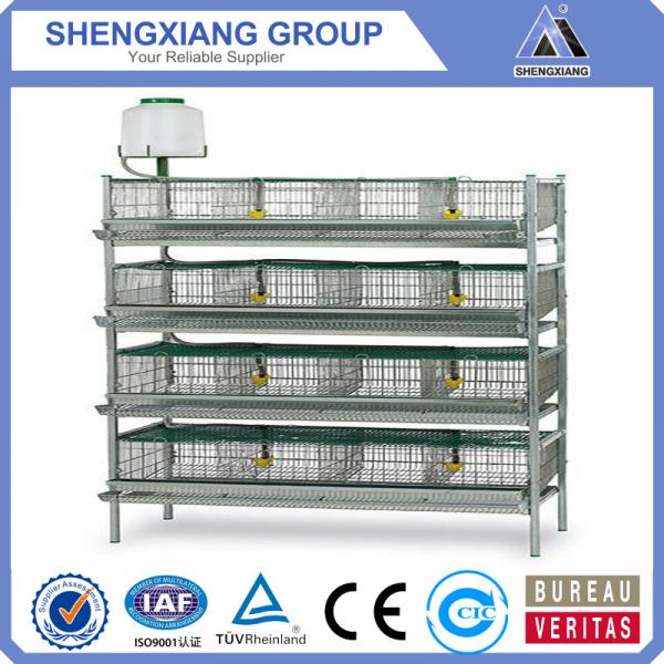 alibaba china supplier chicken cage factory #5 image