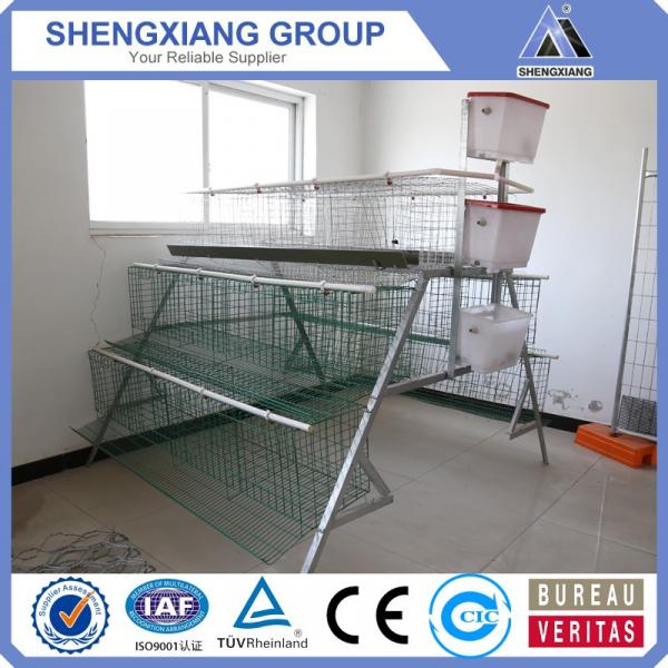 alibaba china supplier chicken cage manufactory #1 image