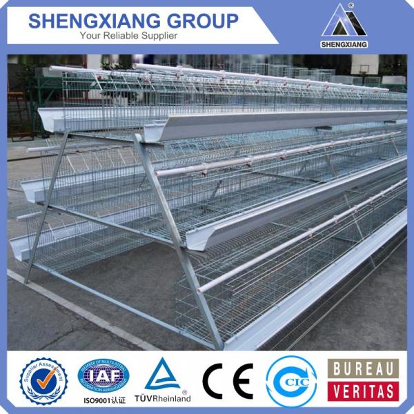 alibaba china supplier chicken cage manufactory #2 image