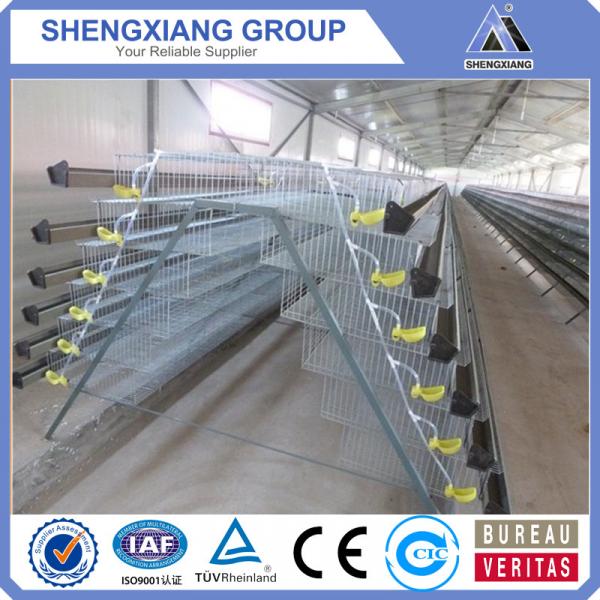 alibaba china supplier chicken cage manufactory #5 image