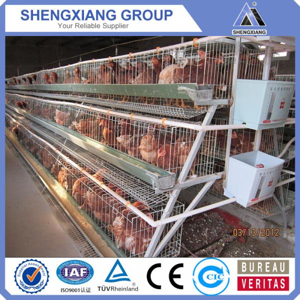 2017 hot sale chicken cage / broiler chicken cage #3 image