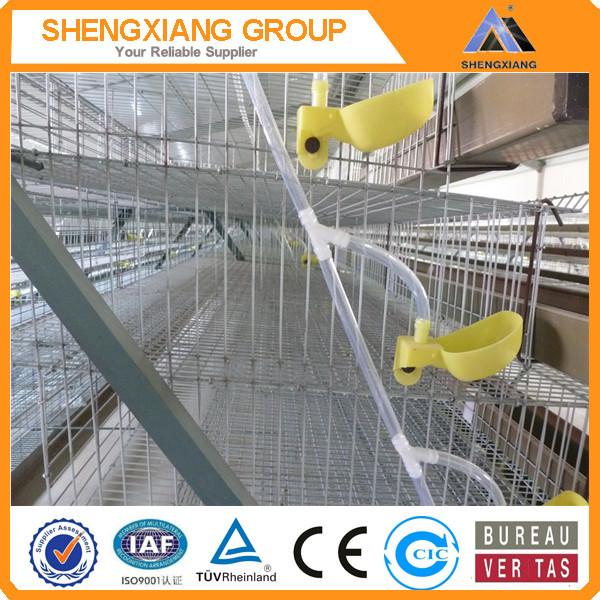 2016 new design A Type Quail Cage hot sale #2 image