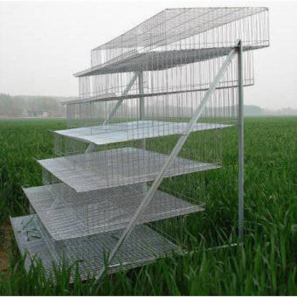 2016 new design A Type Quail Cage hot sale #5 image