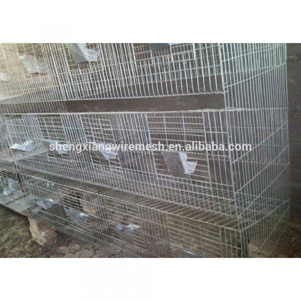 China newly design H type quail breeding cage #5 image