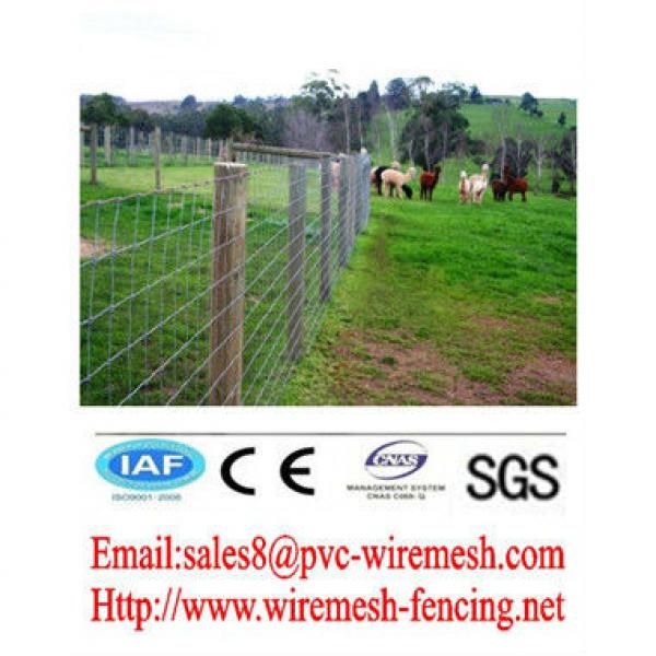 Hot sales Powder Coated Field fence/Farm Fence/Animal fence (pro manufacturer) #1 image