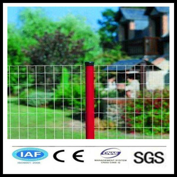 Wholesale China CE&amp;ISO certificated white pvc coated welded wire mesh fence(Pro manufacturer) #1 image