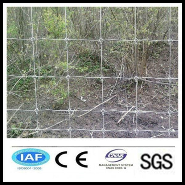 Wholesale alibaba China CE&amp;ISO certificated metal animal farm fence panel (pro manufacturer) #1 image