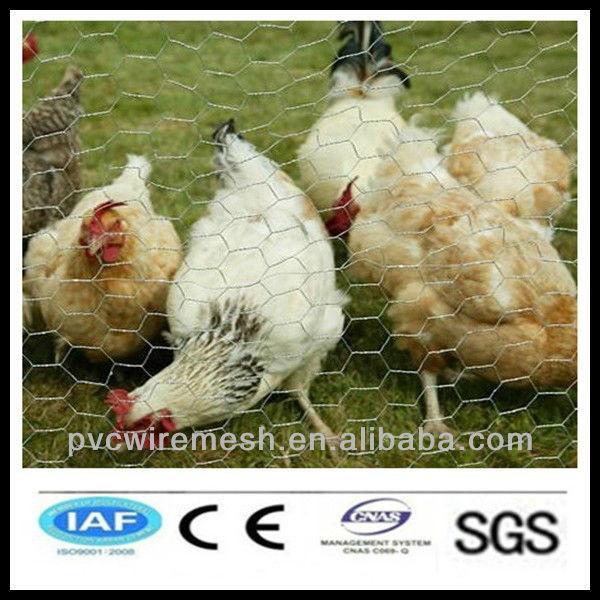 alibaba China wholesale CE&amp;ISO certificated hexagonal decorative chicken wire mesh(pro manufacturer) #1 image