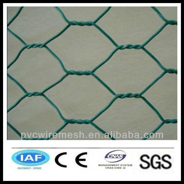 alibaba China wholesale CE&amp;ISO certificated hexagonal plastic mesh(pro manufacturer) #1 image