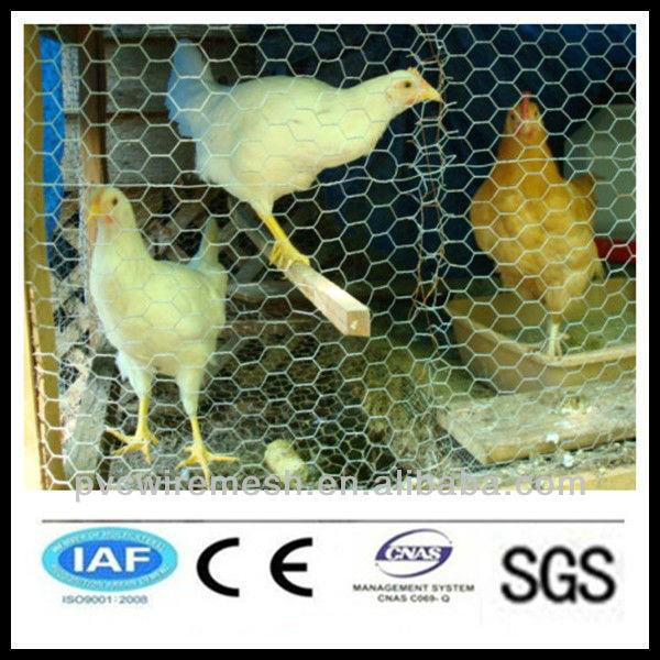 alibaba China wholesale CE&amp;ISO certificated hexagonal chicken wire mesh(pro manufacturer) #1 image