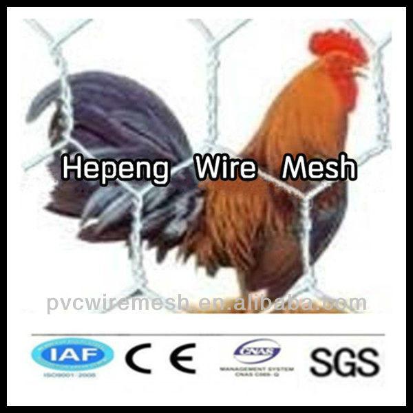 alibaba China wholesale CE&amp;ISO certificated chicken coop hexagonal wire mesh(pro manufacturer) #1 image