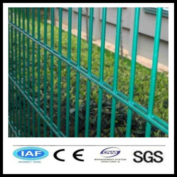 wholesale China CE&amp;ISO certificated double wire garden fence(pro manufacturer) #1 image