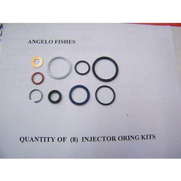 6.0L Powerstroke Diesel Injector O-ring Kit (includes HP oil rail seal) SET OF 8 #1 image
