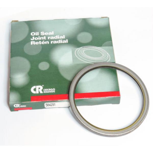 SKF / CHICAGO RAWHIDE CR 504291 OIL SEAL, 4.250&#034; x 4.875&#034; x .328&#034; #4 image